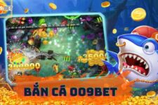 Bắn cá 009 BET – Trải nghiệm sân chơi đỉnh cao và uy tín để nhận quà